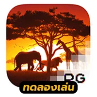 Safari-Wild